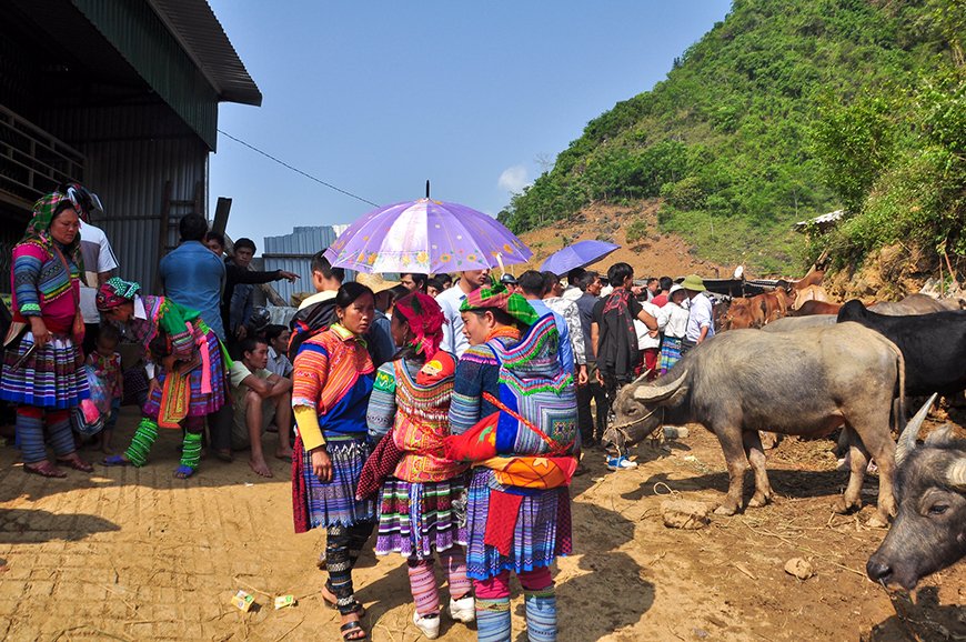 buffalo market