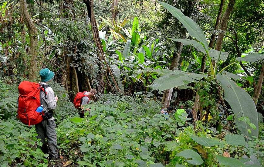 Trekking-and-Nature-in-Northern-Thailand