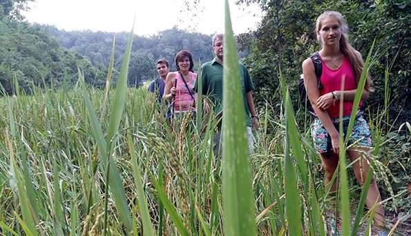 Trekking-and-Nature-in-Northern-Thailand